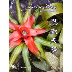 AF-17 恩雨天降 (連CD)